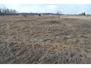 Property photo 63 - 127 Acres Offered in 8 Tracts - Allen & Dekalb County Land
